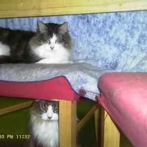 Meet your Posher, Kelly